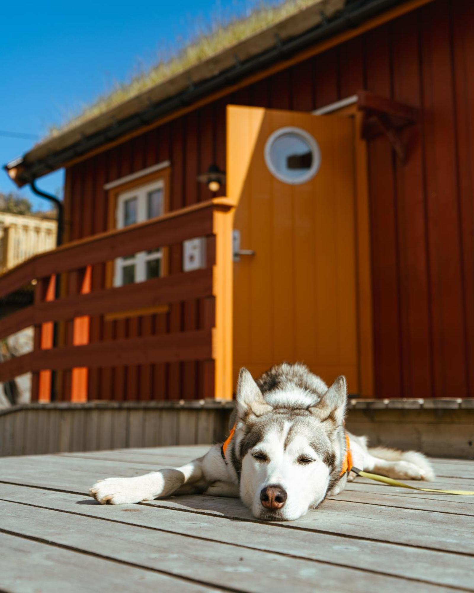 Apartamento Reinefjorden Sjohus Exterior foto