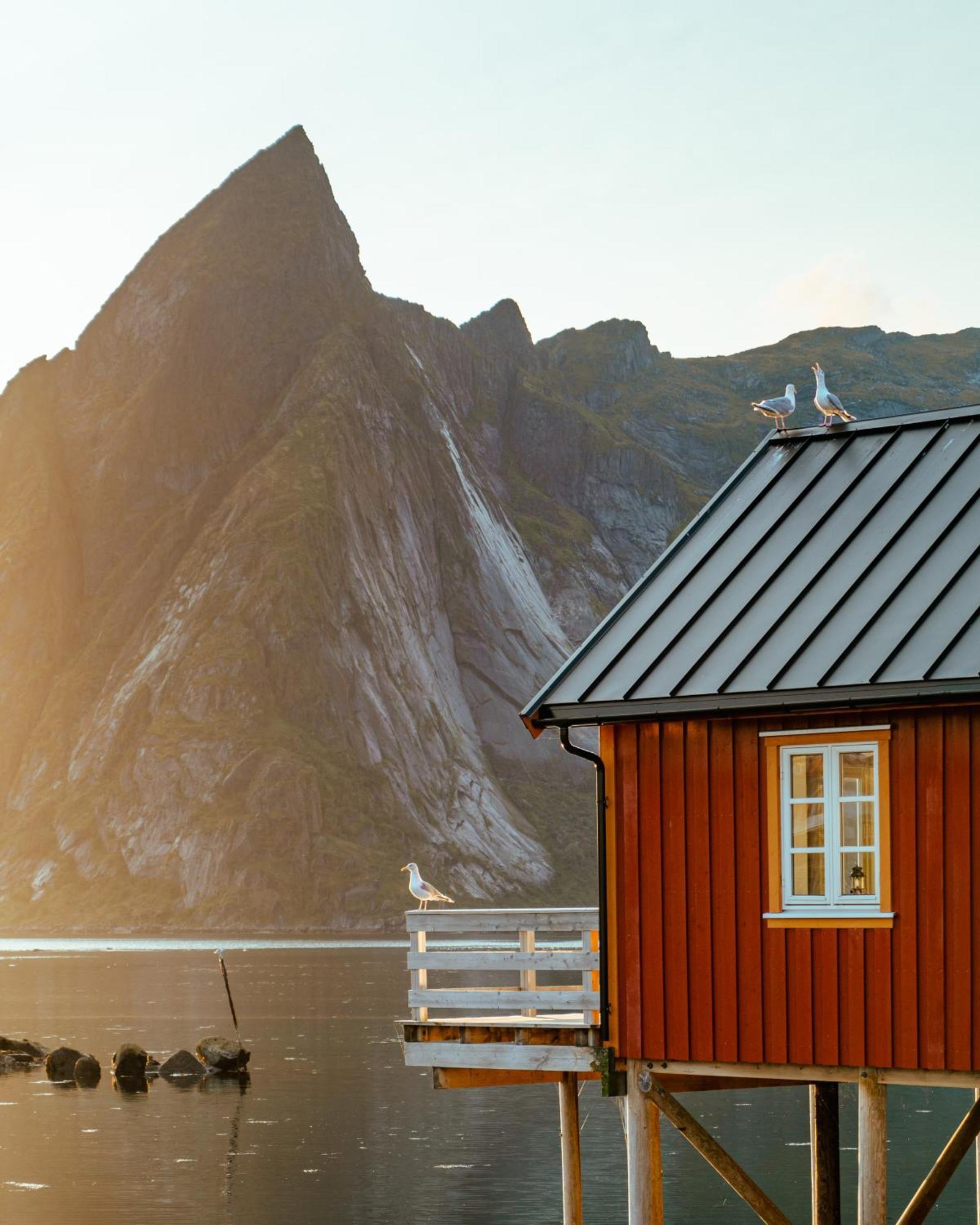 Apartamento Reinefjorden Sjohus Exterior foto